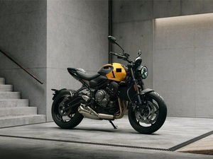 ALL Trident 660 (Motocicleta) - Product Image 5