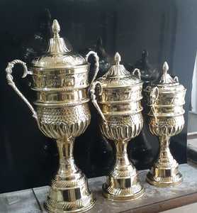 Stainless Steel Sports <b>Trophy</b> <b>Cup</b> Customized Achievement Award Display Durable Premium Quality - Product Image 3