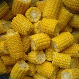Maïs sucré biologique surgelé LQF, coupé, type Date, procédé de conservation par l'eau, fournisseur vietnamien, emballage sous vide en vrac - Product Image 2