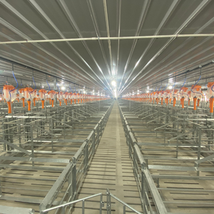 Incubadora porcina de alta calidad, jaula de gestación de acero inoxidable para la venta de fabricante vietnamita - Product Image 3