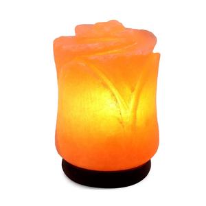 Cadeau Élégance et bien-être avec une lampe de vase en métal sel de l'Himalaya Un cadeau attentionné de Sian Enterprises - Product Image 6