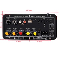 Subwoofer D10 avec double entrée micro et télécommande, sortie 25W, mini mono, récepteur et amplificateurs DC12V/24V AC220V