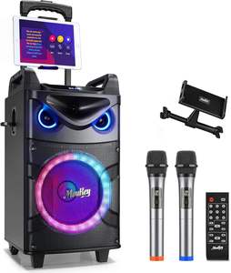 Juego de karaoke con micrófono inalámbrico de 10 pulgadas disponible, equipo de sonido de fiesta con Woofer para cabina de karaoke familiar - Product Image 1