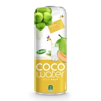 OEM Fabricant vietnamien Canette Alu de 330ml Eau de coco avec pulpe filtrée Pastèque Saveur Eau de coco
