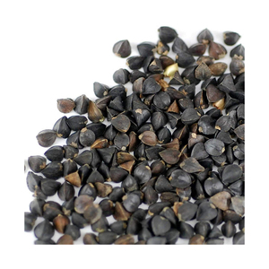 Extracto de Semilla de Trigo Sarraceno Tártaro, Seco, en Empaque a Granel, Certificado GMO - Product Image 3