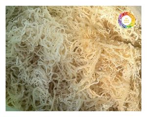 สาหร่าย Eucheuma cottonii จากเวียดนาม100% สาหร่ายธรรมชาติสำหรับสกัดคาราจีแนนและแปรรูปอาหาร - Product Image 1