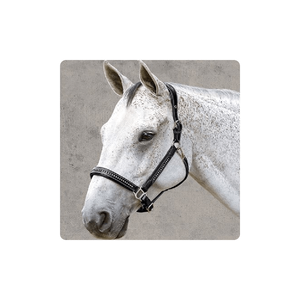 2022 nonยืนต้นหนังอังกฤษคุณภาพสูงแบบพรีเมี่ยมเชือกแขวนคอหนังประดับคริสตัลพับได้ - Product Image 1