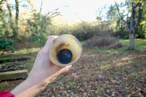 Drinking Horn Glass <b>Cup</b> <b>Viking</b> Eco-Friendly High Quality - Product Image 5