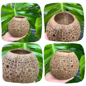 Candelabro de coco 100% Natural, soporte para Vela, hecho en Vietnam - Product Image 6