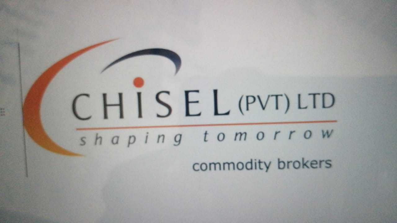 CHISEL INVESTMENTS PRIVATE LIMITED logo