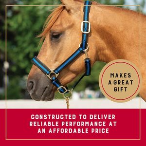 Licou de cheval en nylon non réglable original durable et confortable pour chevaux et poneys - Product Image 5