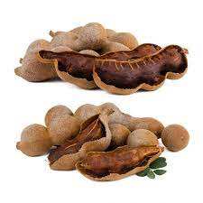 Tamarindo Seco Ácido Orgánico de Calidad Premium, Grado Alimenticio, Empaquetado a Granel, Proceso AD, Pureza 99%+ - Product Image 5