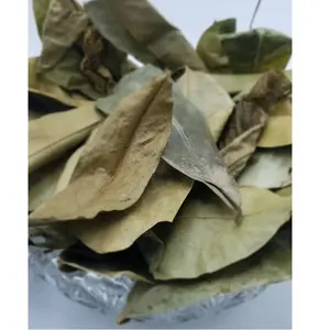 Верхний продукт сушеный лист Soursop-сушеный лист гравиола для приготовления травяного чая происхождения Вьетнама по конкурентоспособной цене