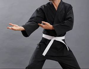 100% coton karaté Gi pour adultes respirant Arts martiaux uniforme pour karaté Judo Jiu Jitsu formation Durable Kimono formation - Product Image 1