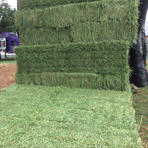 Heno de Alfalfa Doble Comprimido Premium, Heno Seco de la Mejor Calidad para Alimentación Animal, para Peces, Perros, Ganado, Cerdos, Caballos - Product Image 6