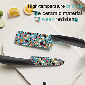 Juego de Cuchillos de Chef de Cerámica Premium de Nueva Tendencia con Mangos de Plástico, 2 Juegos, Afilados, Aptos para Lavavajillas, para Restaurantes, Precio de Fábrica - Product Image 4