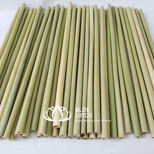 หลอดหญ้าสีเขียวจากเวียดนามย่อยสลายได้เป็นมิตรต่อสิ่งแวดล้อมแท่งอุปกรณ์เสริมสำหรับดื่มไม้ไผ่ + 84 961 06 6080 MS Heidi - Product Image 6