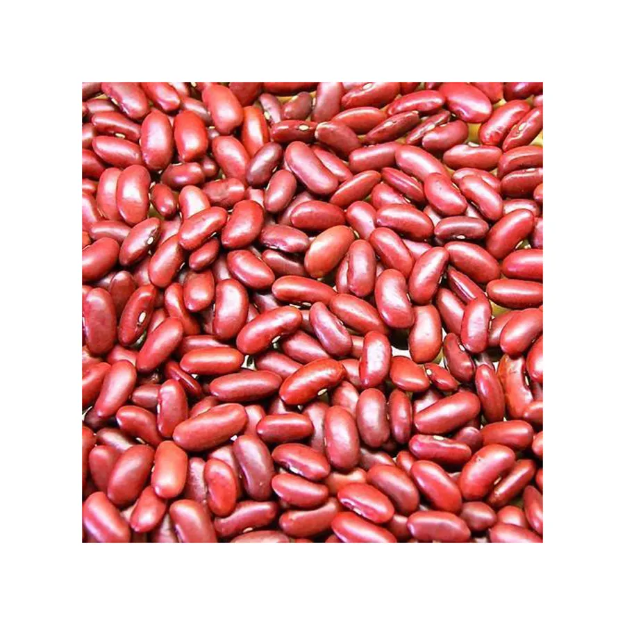 インゲン豆のようなパルスを販売するための安いダークレッドインゲン豆の長い形のインゲン豆を購入する