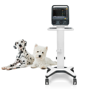 Mindray SV300 Vet Ventilador veterinario con pantalla táctil de 12 pulgadas con funciones de protección pulmonar para perros y gatos - Product Image 1