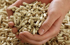 Granulés de bois de haute qualité bon marché à vendre en ligne Granulés de bois de la meilleure qualité à bas prix - Product Image 4