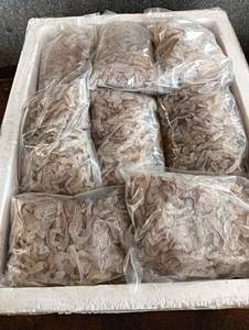 SUMINISTRO A GRANEL DE Medusas saladas Medusas sazonadas - Product Image 5