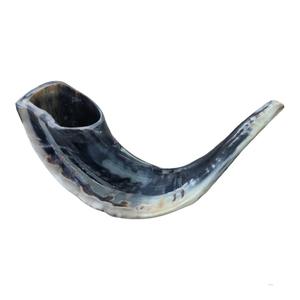 Cuerno de Shofar de Carnero Natural Pulido - Decoración Religiosa Ecológica para el Hogar de Alta Calidad - Product Image 6