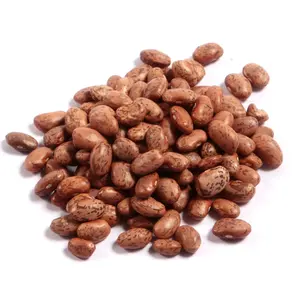 ถั่วคุณภาพ - ถั่วพินโตแห้ง ลายจุดเล็ก สำหรับขายในราคาขายส่ง - Product Image 2