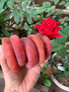 Kakis séchés de qualité export, sans conservateurs, couleur orange naturelle, pour marques de vente au détail saines - Product Image 2