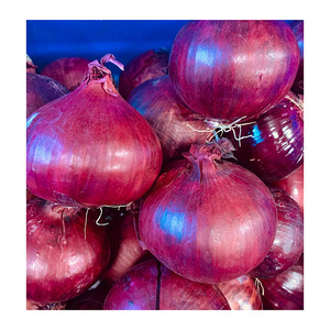 Cebolla roja fresca de gran tamaño de calidad superior, calidad superior, venta al por mayor a granel, cebolla fresca Premium, alta demanda, Exportación saludable y orgánica - Product Image 6