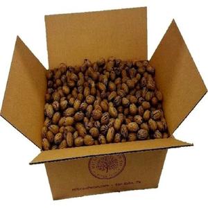 Nueces de Pecán disponibles para productores de snacks, panaderías y distribuidores a granel - Product Image 2