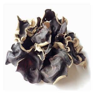 Hongo Natural de Oreja de Madera Seco con Precio Competitivo para Venta al por Mayor - Product Image 2