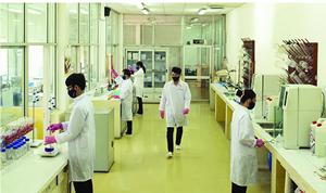 Alimentación animal de alta proteína Grado de alimentación seca para pescado Camarón Cerdo Perro y ganado Mínimo 60% Proteína - Product Image 4