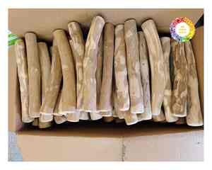 Palo masticable para mascotas de madera de café de alta calidad de Vietnam Juguete natural para perros para el cuidado dental, la dentición y la satisfacción del juego - Product Image 5