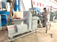 Équipement entièrement automatique de fabrication de charbon de bois, machine à briquettes de biomasse pour sciure de bois