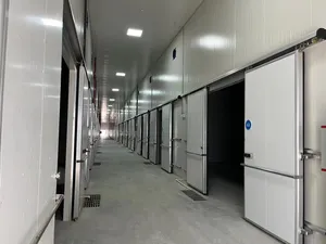 Cold Storage Room Walk In Cooler Cold Storage For Fruits And Vegetables