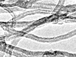 Nanotubos de carbono de paredes múltiples de alta pureza Crecimiento de cultivos agrícolas Agente auxiliar químico Aditivo para fábrica de germinación - Product Image 2