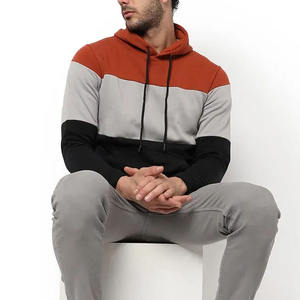 Sweat-shirts et sweats à capuche épais 100 % coton pour hommes, coupe classique, couleur unie, impression de logo personnalisé - Product Image 4