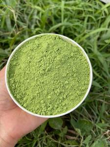 Polvo de apio puro para energía diaria Producto agrícola fresco para estimular el cuerpo - Product Image 5