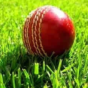 Vente en gros de nouveau design balle dure de cricket sur mesure léger matériau souple cuir haute visibilité pour l'entraînement de match en plein air - Product Image 3