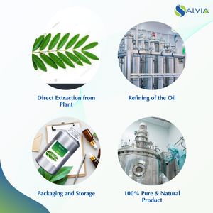 Aceite de aceite Seena 100% puro y natural al por mayor a granel precio más bajo embalaje personalizado - Product Image 4