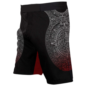 Shorts d'entraînement MMA pour hommes sur mesure en gros, impression par sublimation sur le devant, tissu tissé extensible, séchage rapide, respirant - Product Image 5