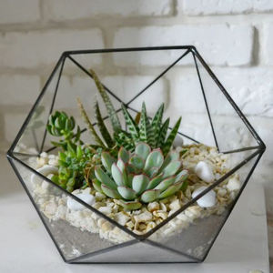Terrarium en verre de table en métal et en verre pour mariage et fêtes événementielles Terrarium en verre décoratif Décoration d'intérieur fini noir - Product Image 6