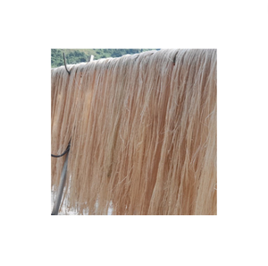 EXCLUSIVE BANANA <b>FIBER</b> - BANANA <b>SILK</b> BEST USE for WET SPINNING in TEXTILE INDUSTRY ASPECTS - Product Image 6