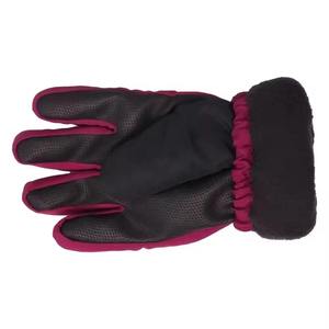 Gants de ski pour hommes entièrement personnalisés style parfait vente à chaud taux raisonnable meilleurs designs gants de ski pour hommes avec un poids léger - Product Image 4