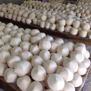 Cocos frescos jóvenes vietnamitas de Techmifood directo de Ben Tre Tropics 60 días de vida útil - Product Image 1