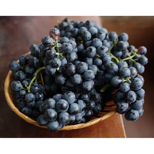 Uvas orgánicas japonesas sin semillas Calidad superior Fresh Purple Farm Grown Grado superior Vida útil de 12 meses para exportación a granel al por mayor - Product Image 3