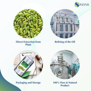 Huile de cardamome 100% pur et naturel en gros en vrac prix le plus bas emballage personnalisé - Product Image 4