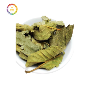 Feuilles de goyave séchées de haute qualité pour faire des thés frais et savoureux et des infusions de plantes - Product Image 5