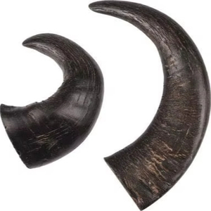 Juguete Masticable para Perros de Cuerno de Búfalo Ecológico de Alta Calidad, Artesanía Natural de la India, Venta al por Mayor - Product Image 1