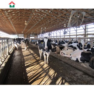 Bò đổ trang trại đổ đúc sẵn gia súc Nhật Ký nông nghiệp Barn bò Nhà chứa máy bay đổ Kết Cấu Thép - Product Image 1